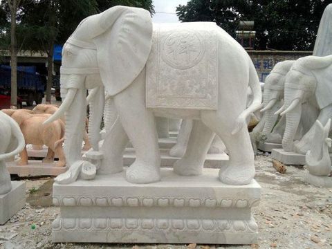 點擊查看詳細信息<br>標題：石雕大象7 閱讀次數(shù)：1295